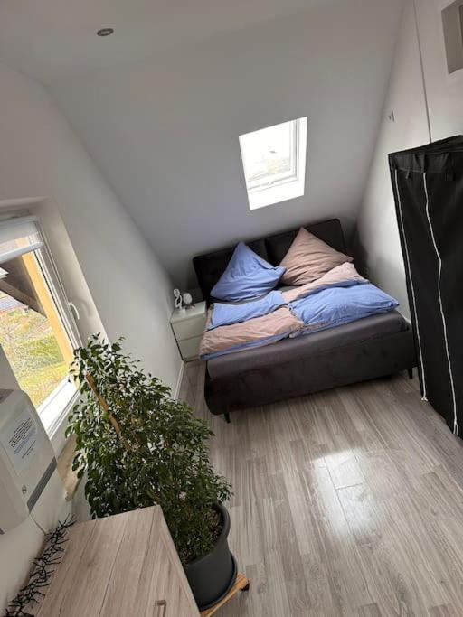 Panoramablick In Litzendorf 아파트 외부 사진